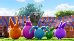 انیمیشن سانی بانیز قسمت 354 - sunny bunnies